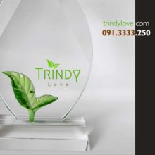 bạn cần gấp kỷ niệm chương pha lê hcm làm quà tặng doanh nghiệp