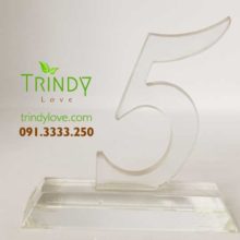 công ty sản xuất biểu trưng quà tặng pha lê cao cấp để bàn tphcm