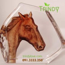 công ty sản xuất quà tặng biểu trưng pha lê cao cấp tphcm